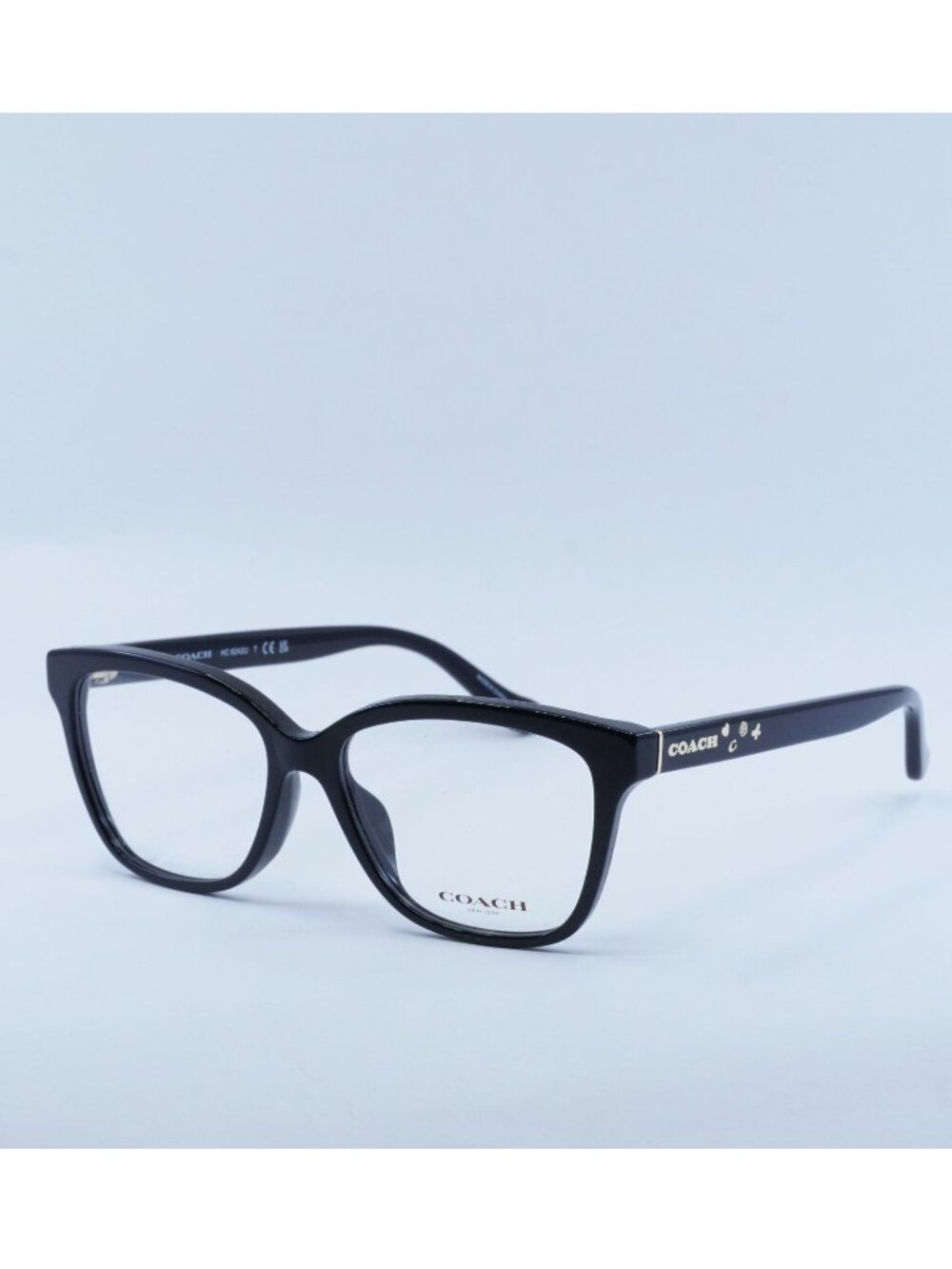 Coach HC6242U 5002 Eyeglasses Black 53mm Square Frame